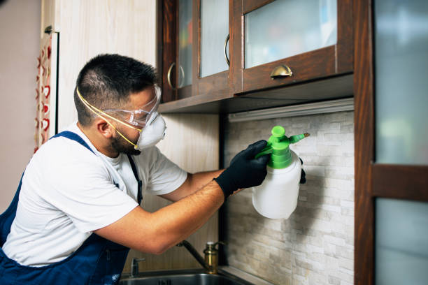 Best Flea Control Services  in Claymont, DE
