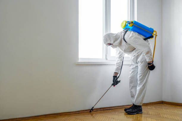 Flea Control Services in Claymont, DE