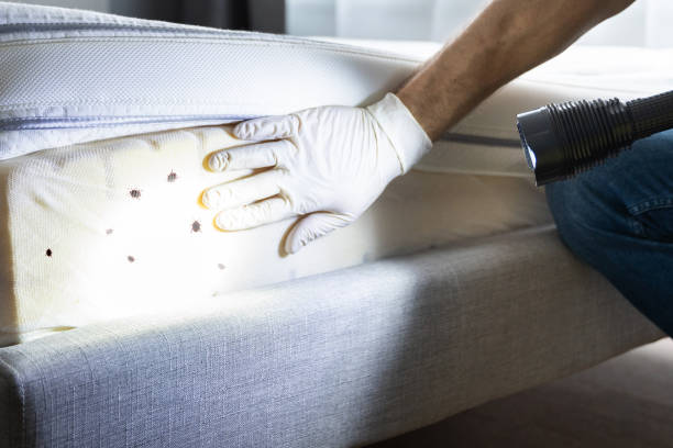 Wildlife Control Services in Claymont, DE