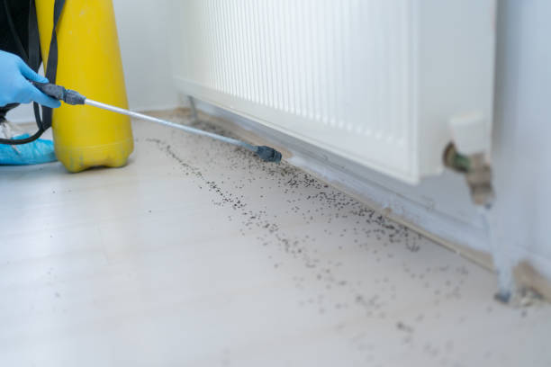 Best Pest Control Treatment  in Claymont, DE