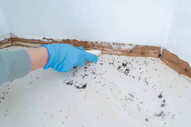 Best Best Pest Control Companies  in Claymont, DE